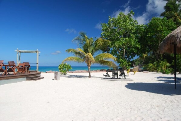A beach with white sand, palm trees, and a thatched-roof structure. - The Islander Hotel (Praslin Island)