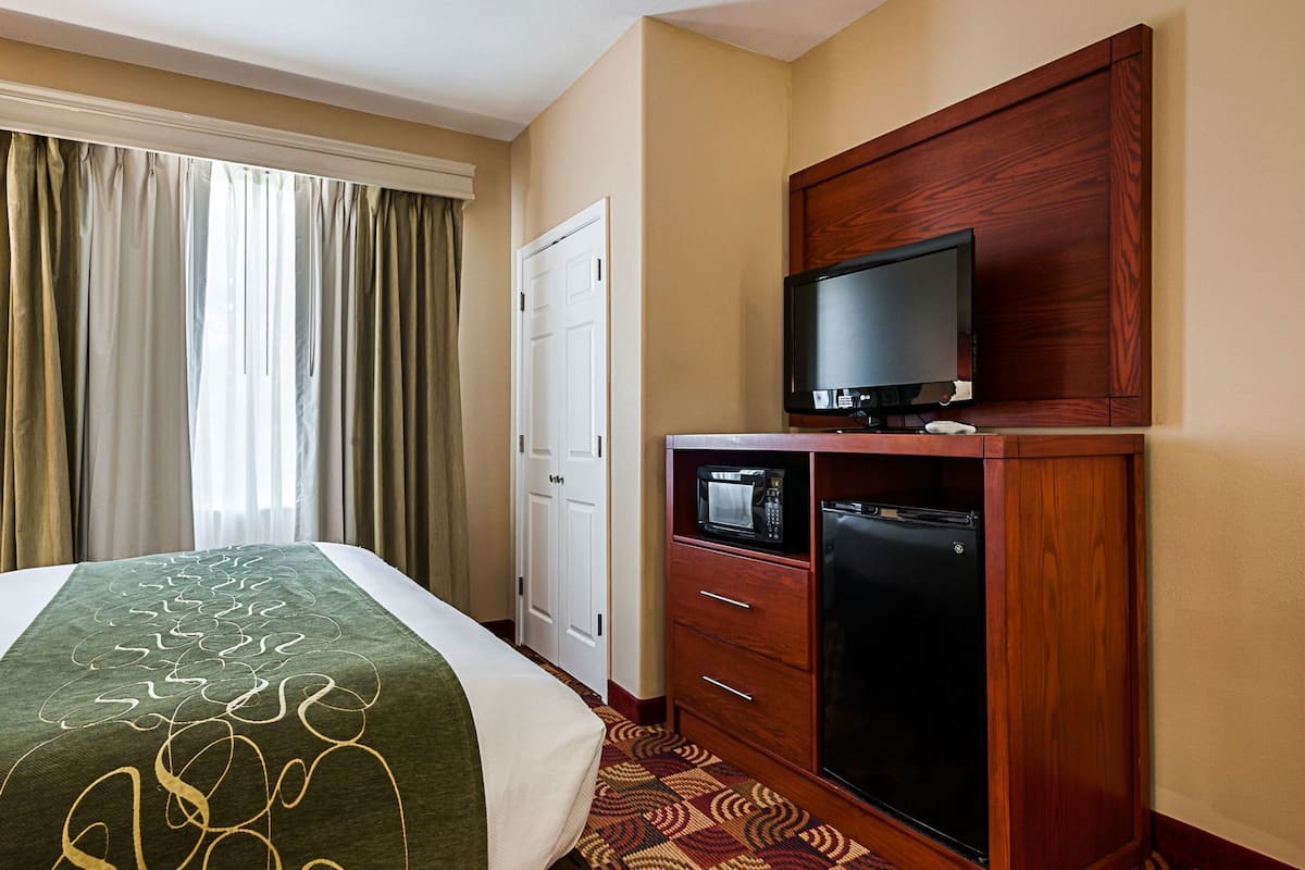 A hotel room with a bed, a television, a microwave, and a refrigerator.