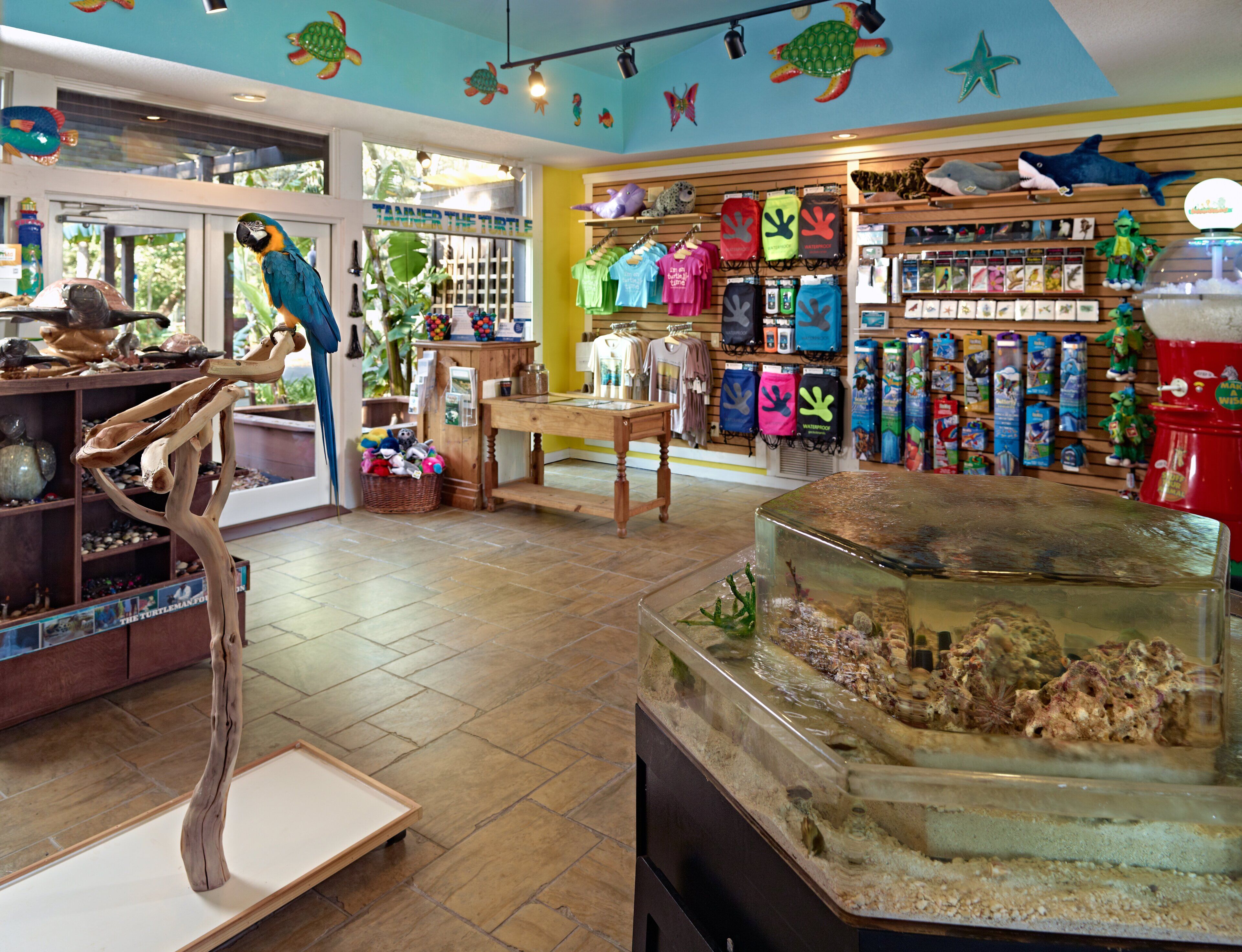A store with a variety of souvenirs, including toys and clothing, and a large aquarium with marine life.
