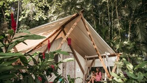 A rustic tent with a wooden frame and canvas walls, surrounded by lush tropical vegetation. - Picocanoa Rodavento (Jalcomulco)
