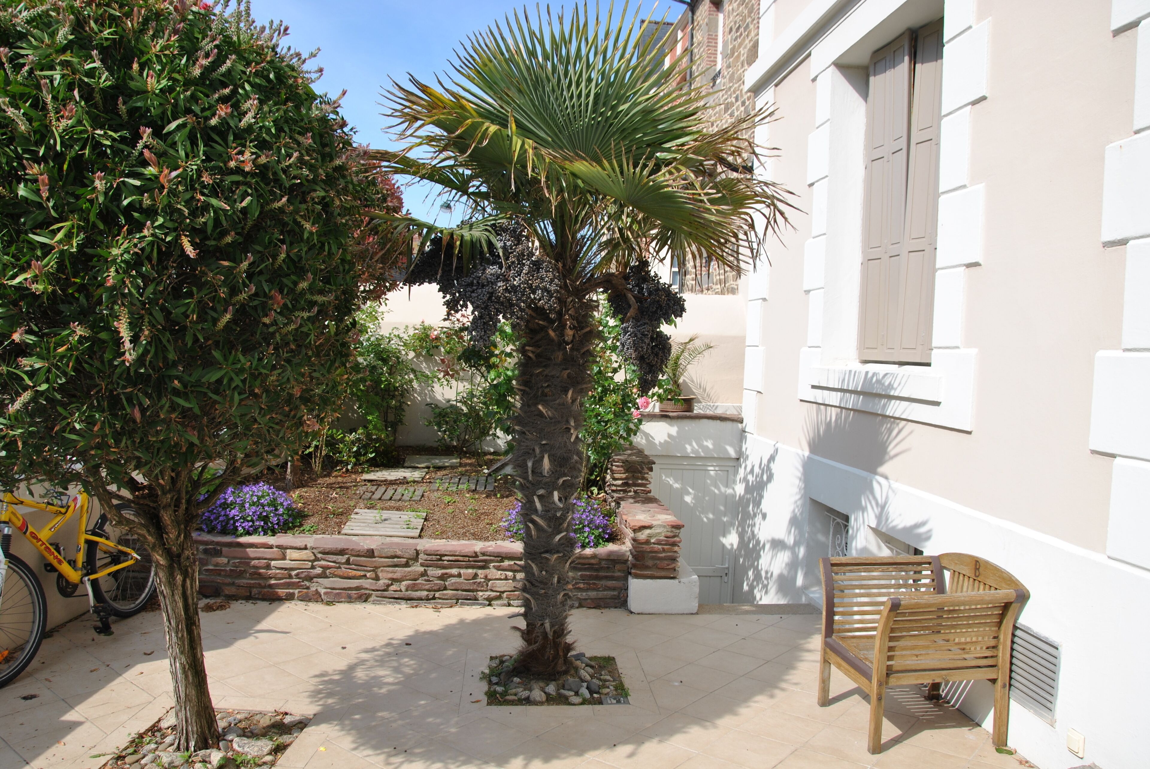 standard double or twin room, city view | garden view