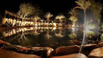A nighttime view of a reflective pool with palm trees and illuminated buildings.