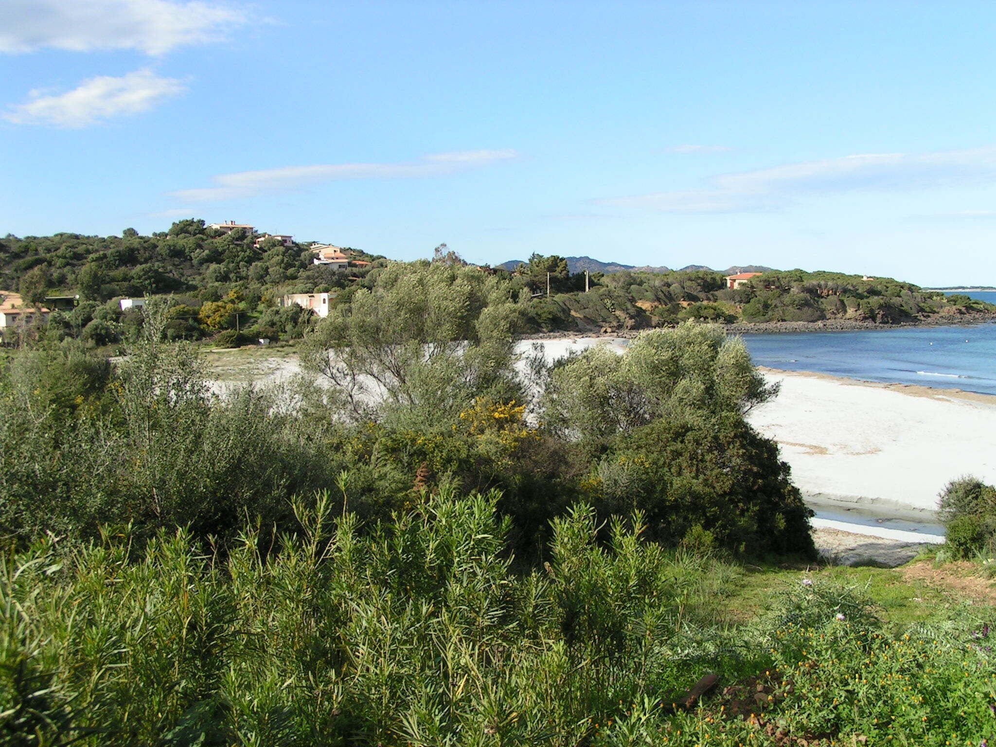 Un paisaje costero con una playa arenosa, vegetación densa y edificios dispersos en una ladera.