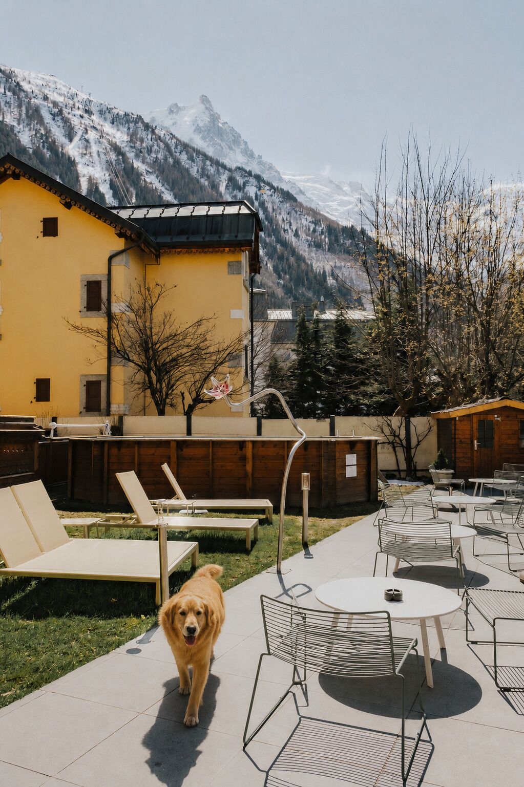 A patio area with outdoor seating, a dog, and a mountain backdrop.