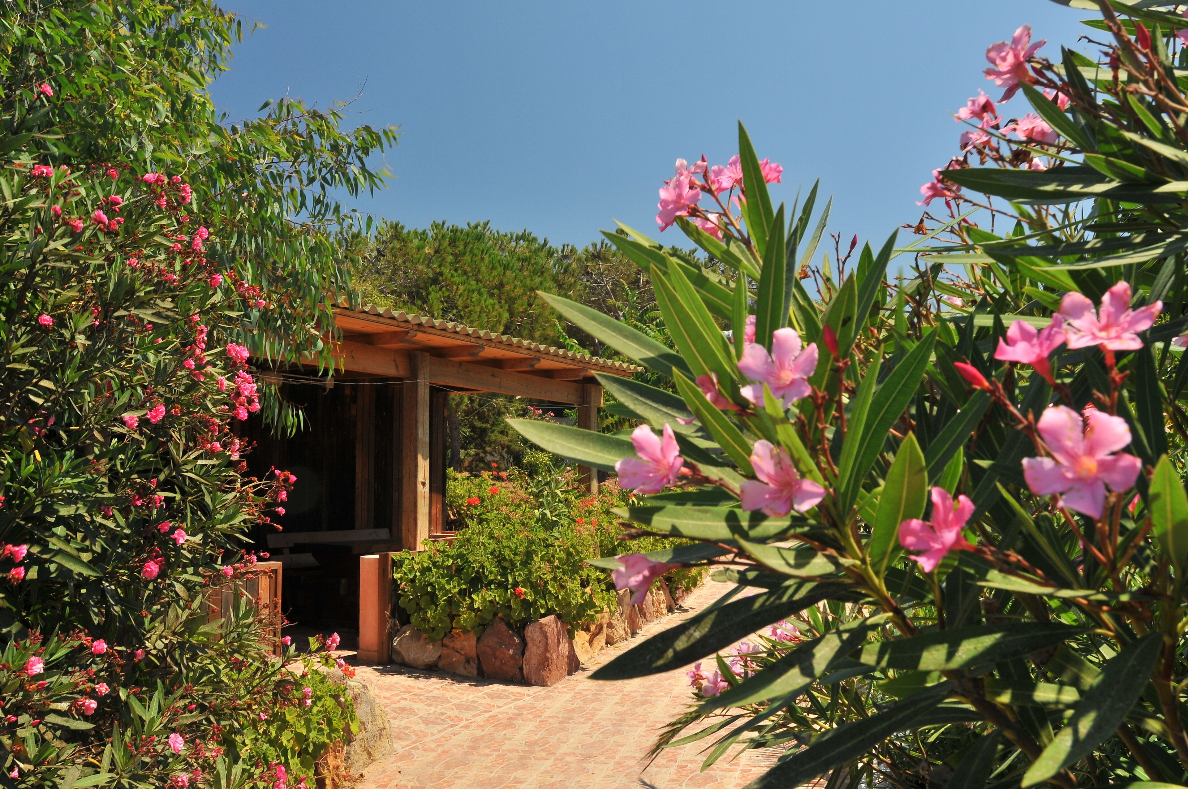 A garden with pink flowers, a wooden pergola, and a stone pathway.