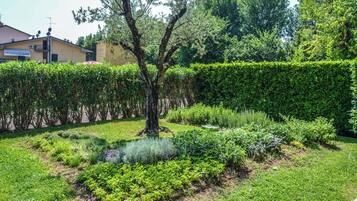 Un jardín con un árbol, diversas plantas y un seto.