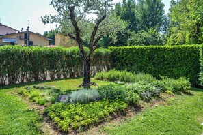 Un jardín con un árbol, diversas plantas y un seto.