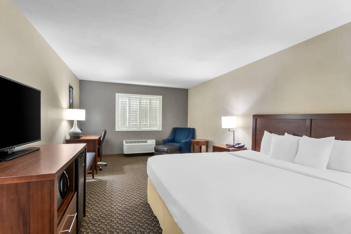A hotel room with a large bed, a desk with a TV, a chair, a lamp, and a window with blinds.
