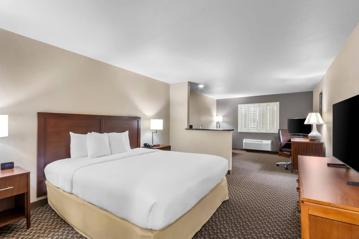 A hotel room with a large bed, a desk, a chair, a TV, and a window with blinds.