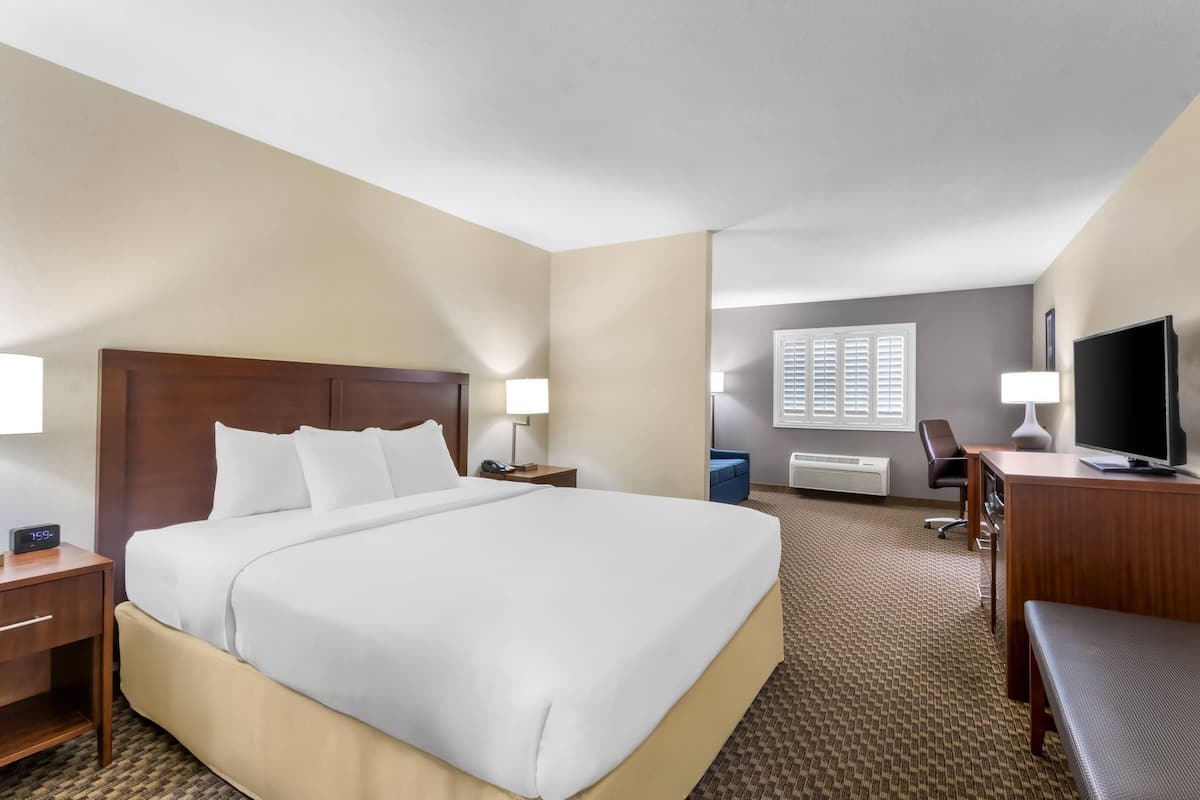 A hotel room with a large bed, a desk with a TV, a chair, and a desk lamp.