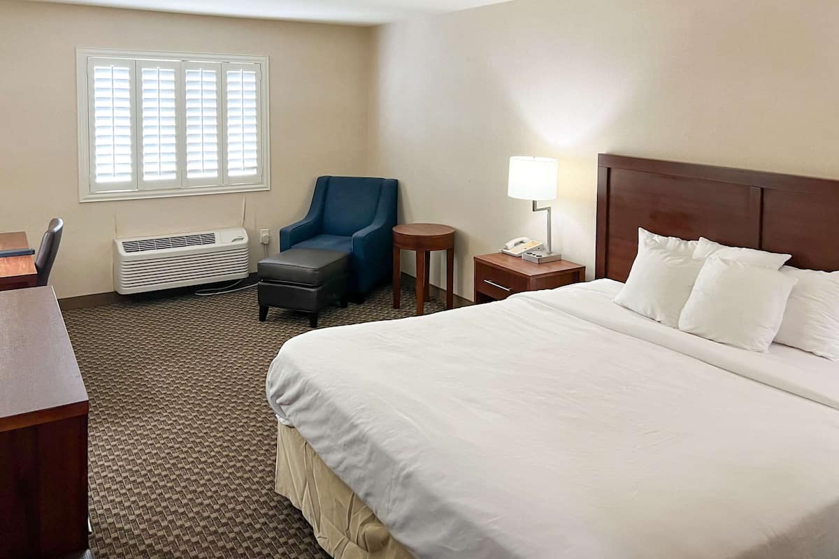 A hotel room with a bed, a desk, a chair, a lamp, and an air conditioner.