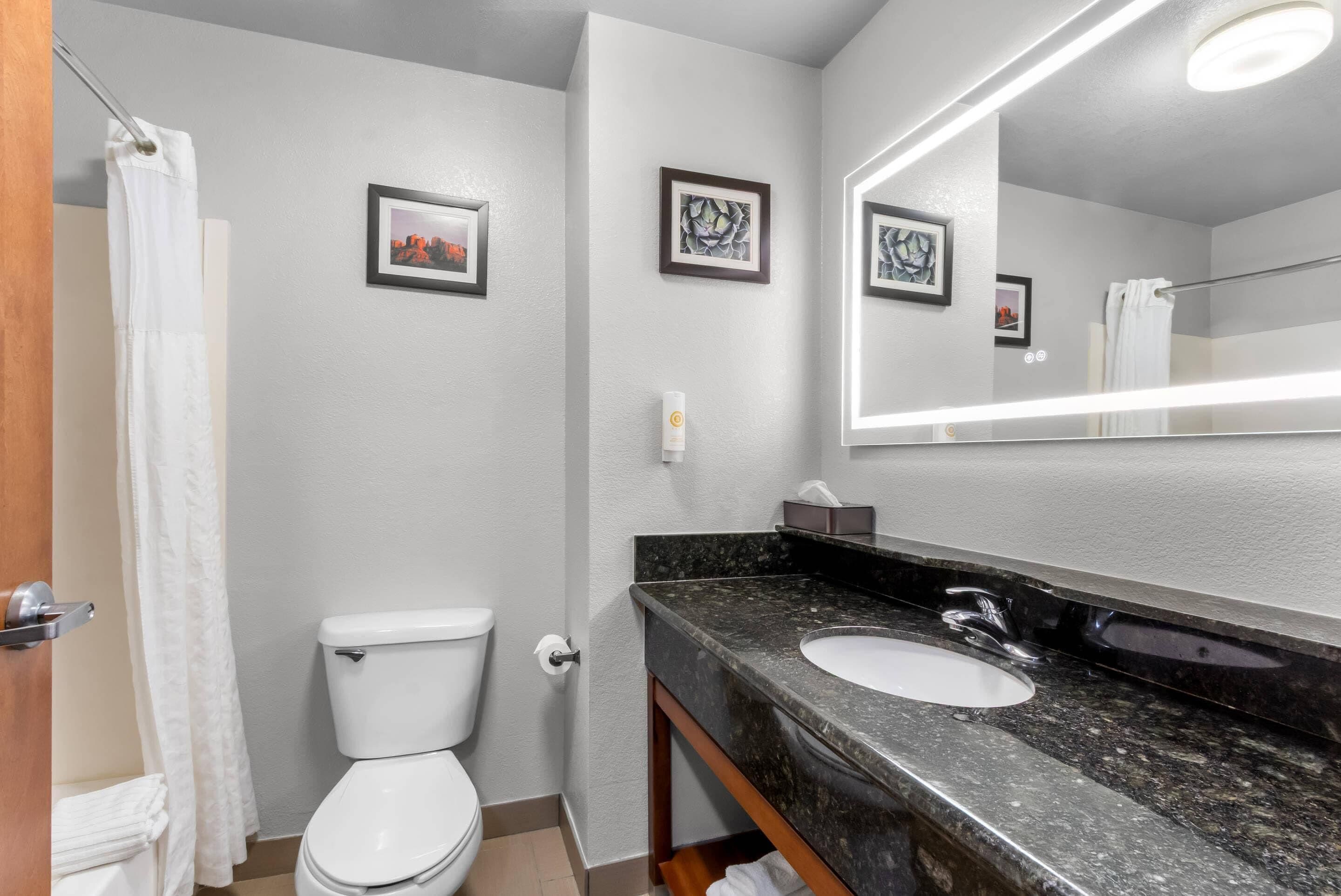 A bathroom with a white toilet, a sink with a granite countertop, and a large mirror.