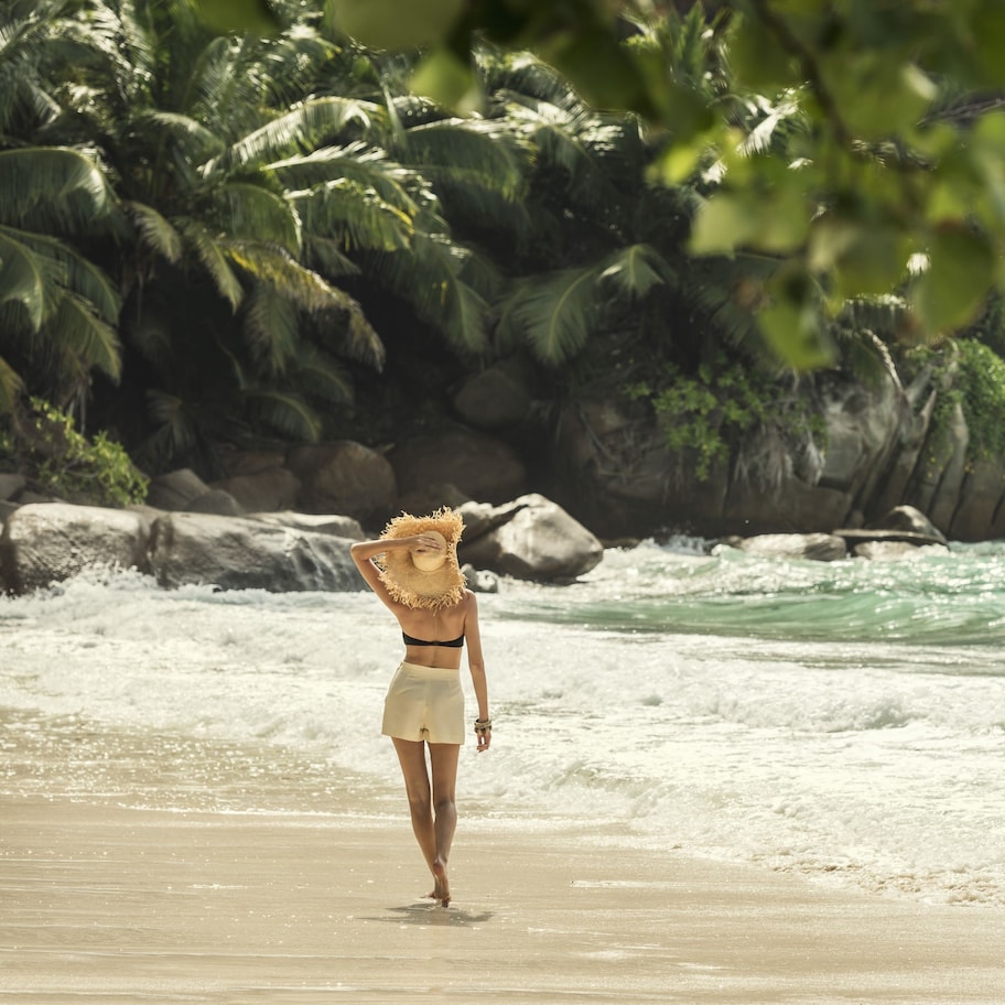 A beach scene with waves, palm trees, and rocks.