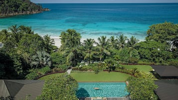 A pool with a view of the ocean, surrounded by tropical vegetation and a clear sky.