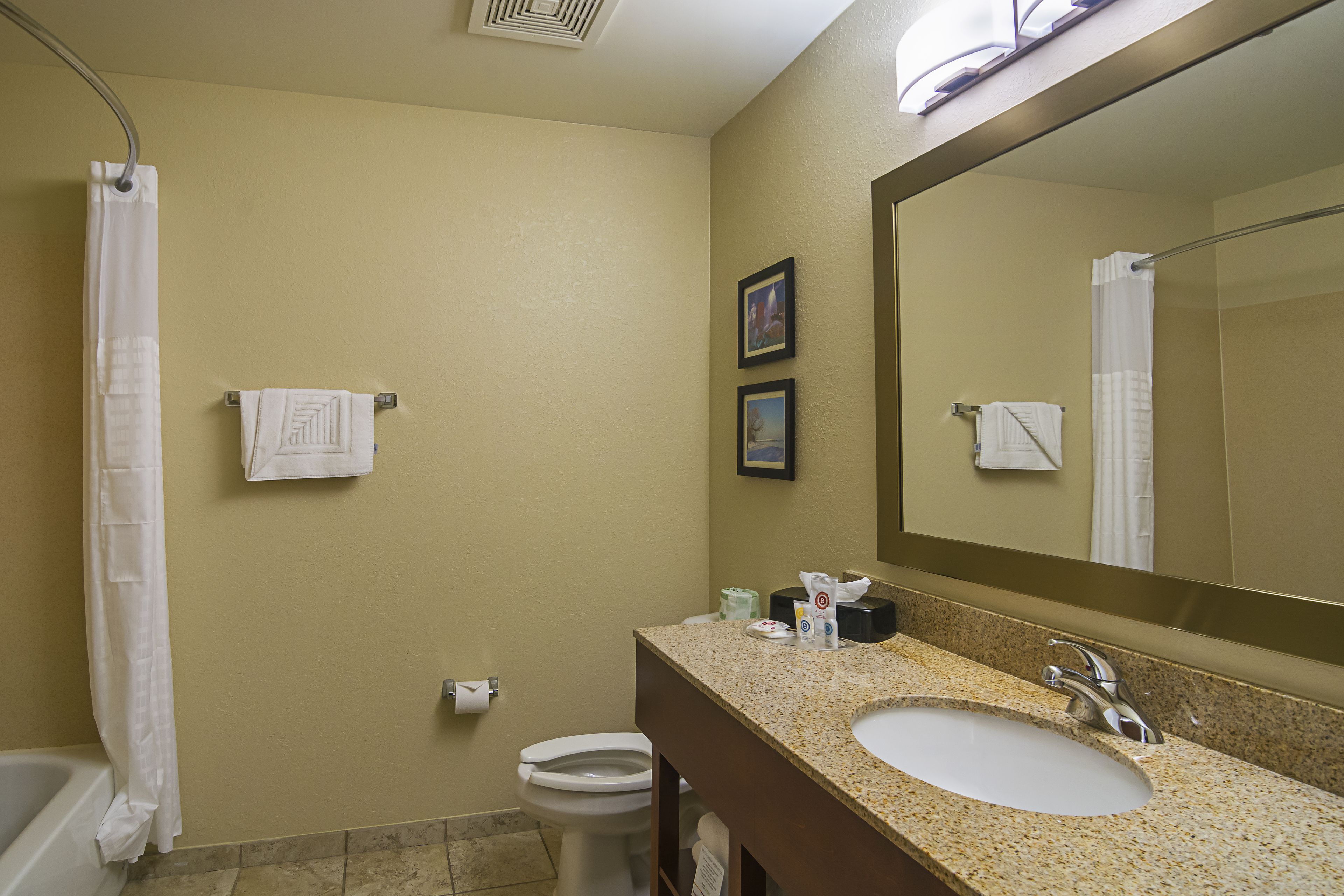 A bathroom with a sink, mirror, toilet, and shower curtain.