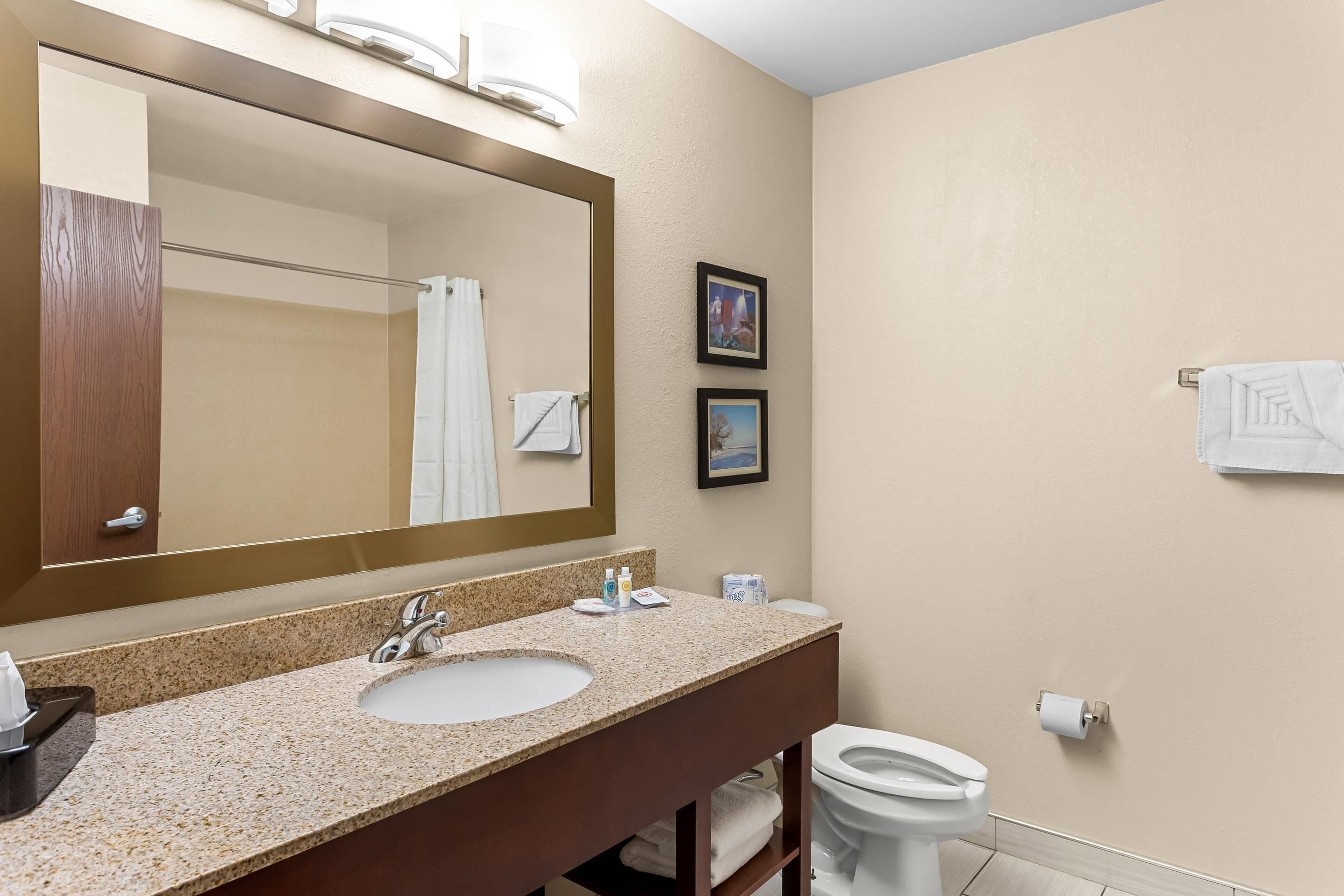A bathroom with a granite countertop sink, a large mirror, a toilet, and two framed pictures on the wall.