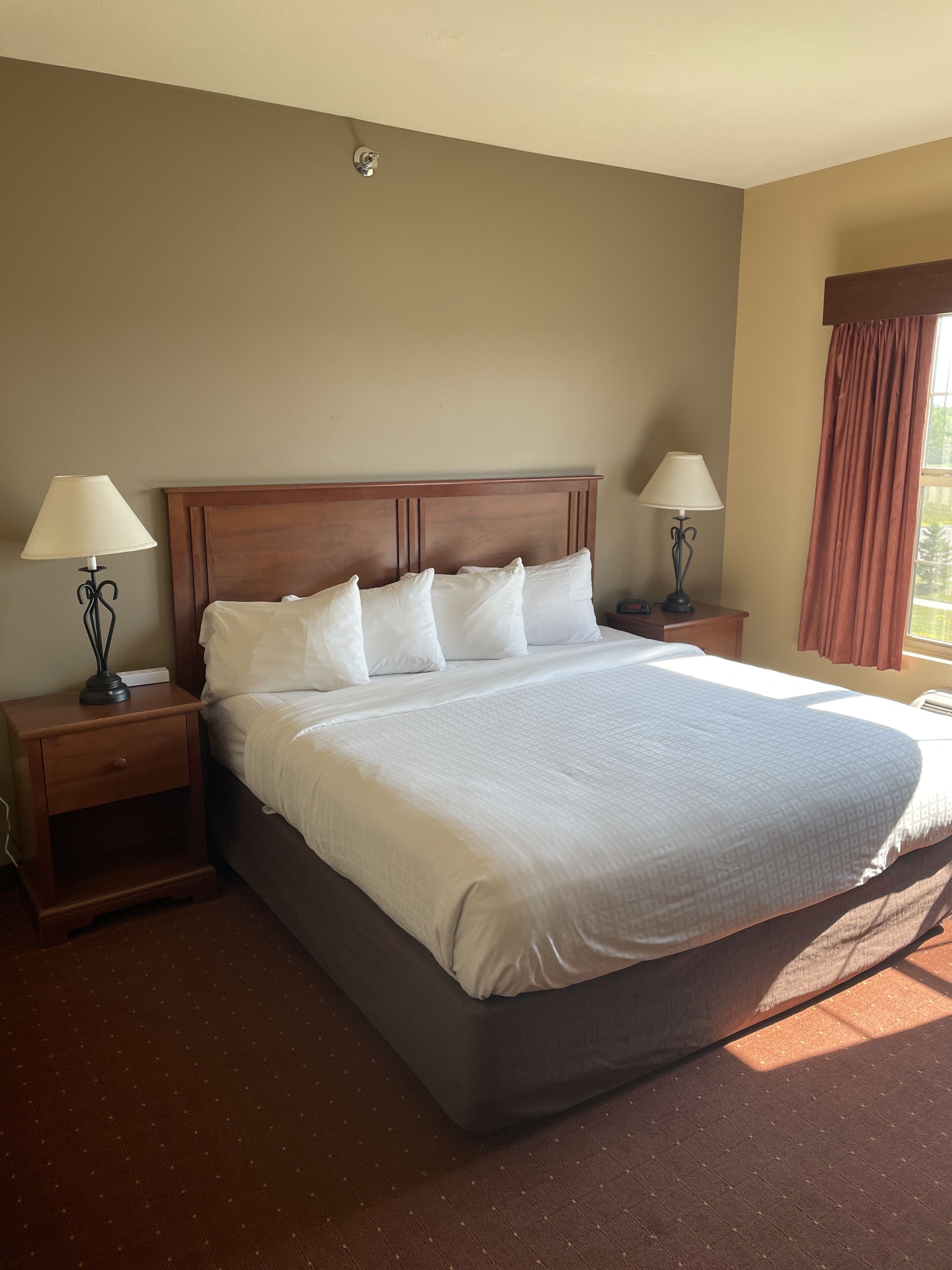 suite, 1 king bed, accessible, non smoking (efficiency,mobility,tub w grab bars) | 1 bedroom, premium bedding, down duvets, pillow-top beds