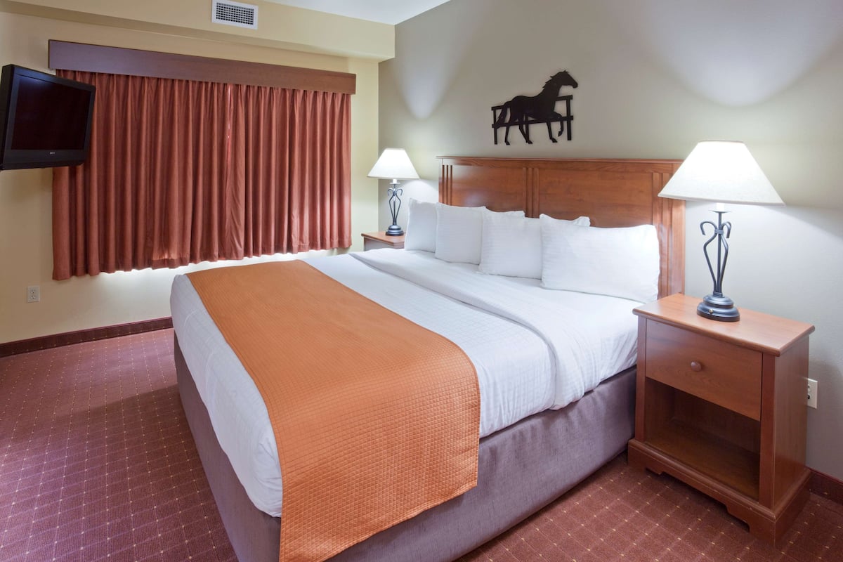 A hotel room with a large bed, two bedside tables with lamps, a mounted TV, and a horse decoration on the wall.