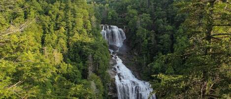 A waterfall cascading through a dense forest.