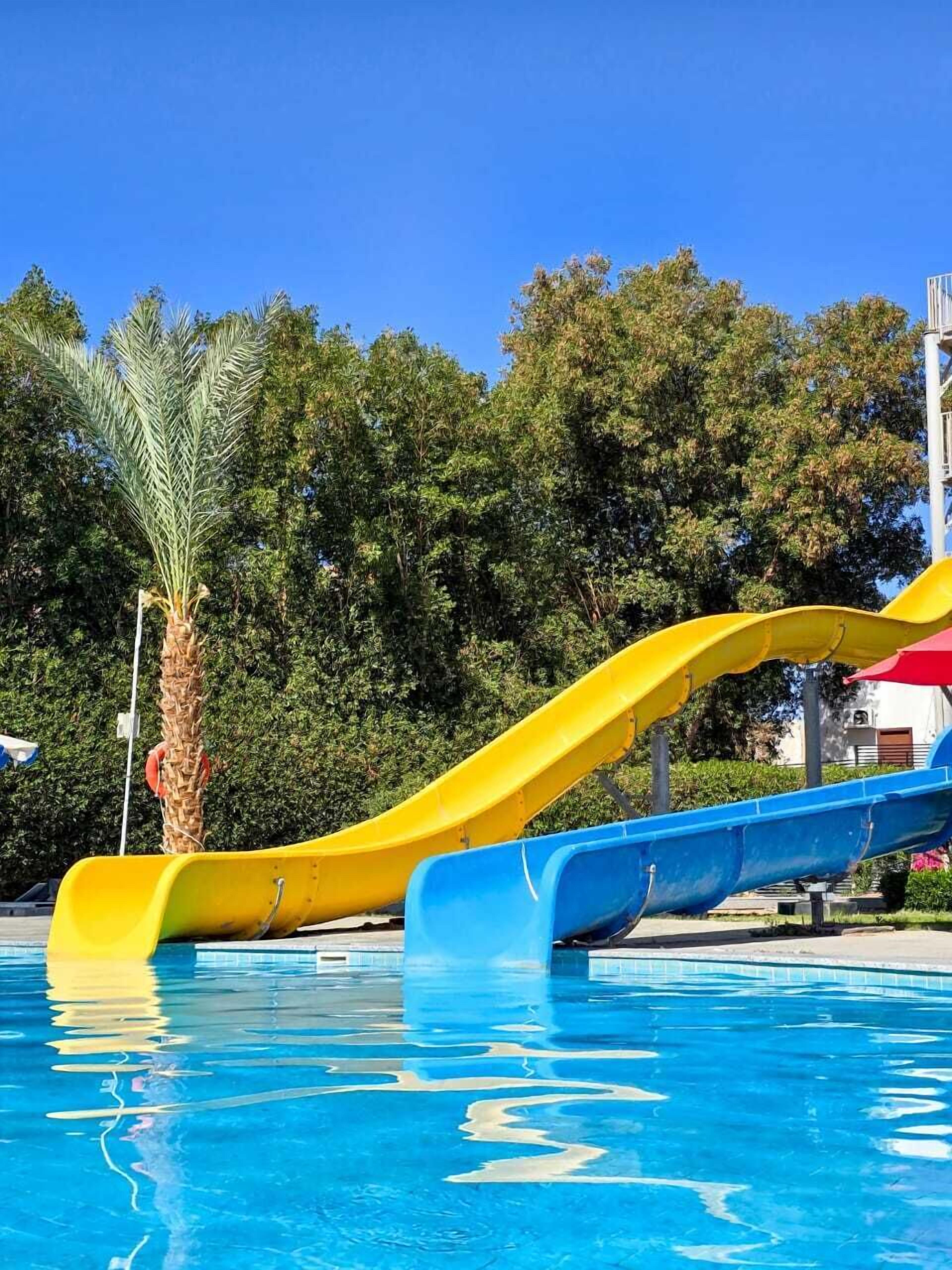 A pool with two slides, one yellow and one blue, surrounded by trees and a palm.