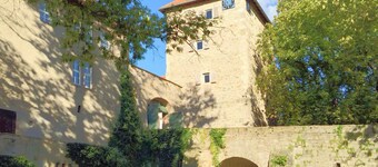 瓦瑟堡養生飯店 - 研討會飯店