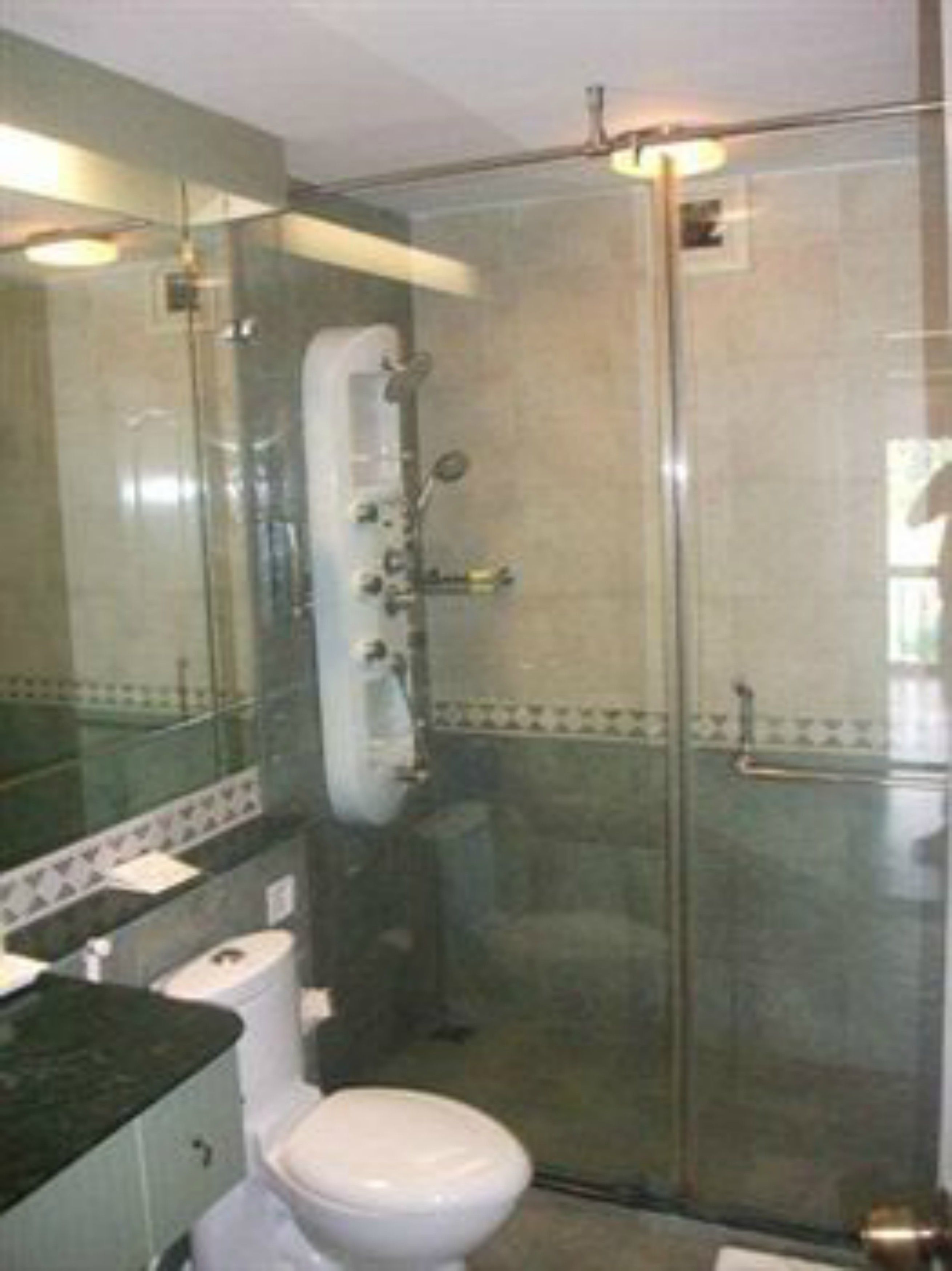 A bathroom with a glass-enclosed shower, a toilet, and a sink with a mirror above it.