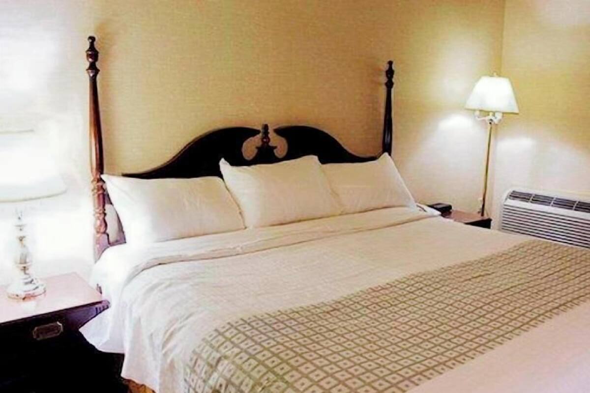 Una cama bien hecha con una colcha estampada, una lámpara de noche y una mesita de noche.