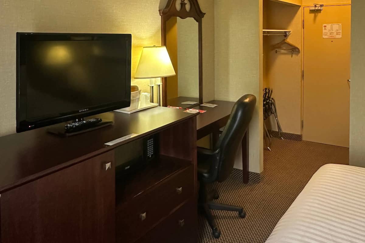 Een bureau, een strijkplank/strijkijzer, gratis babybedden, wifi