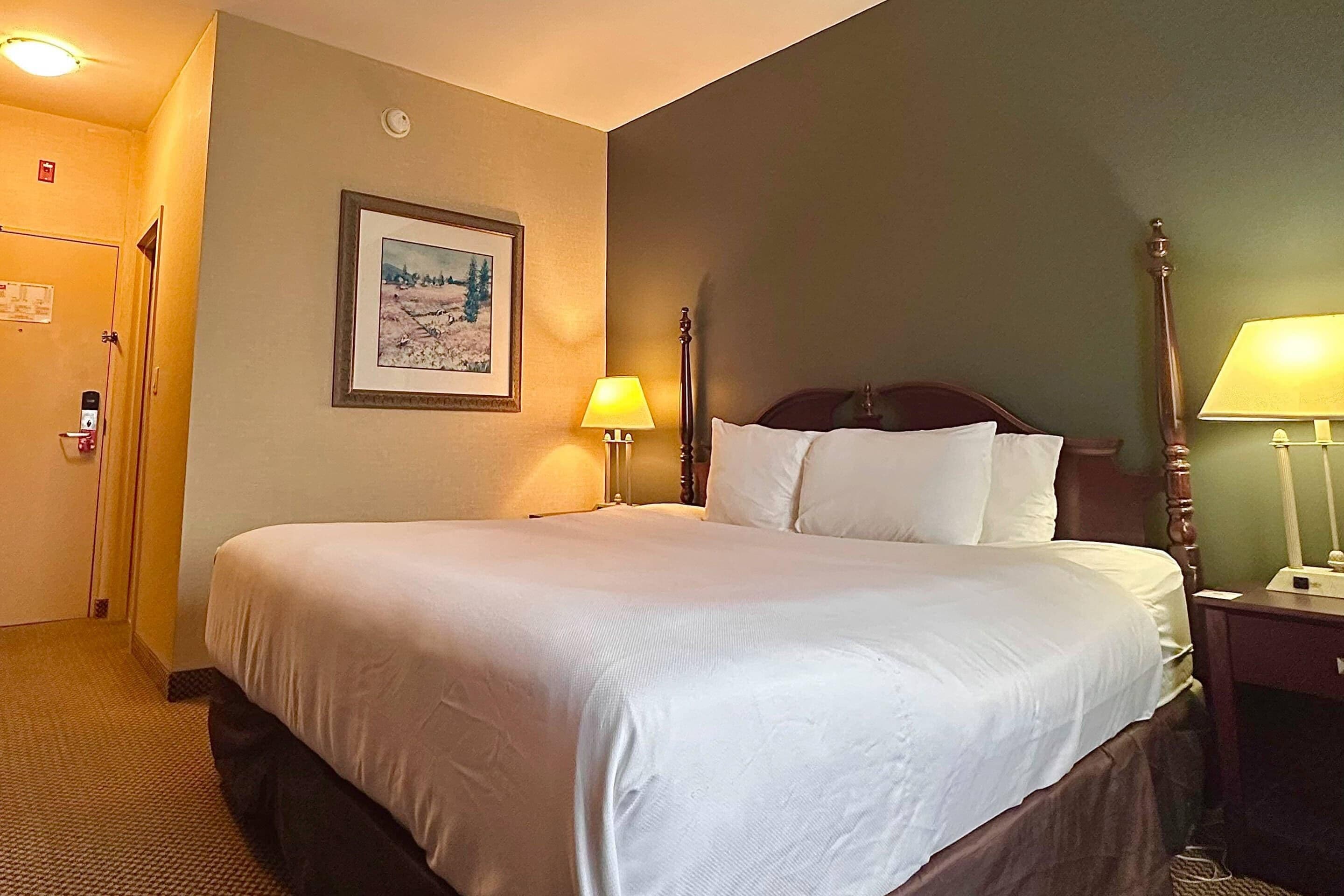 Habitación estándar, 1 cama King size, para no fumadores | Escritorio, tabla de planchar con plancha, cunas gratuitas y wifi 