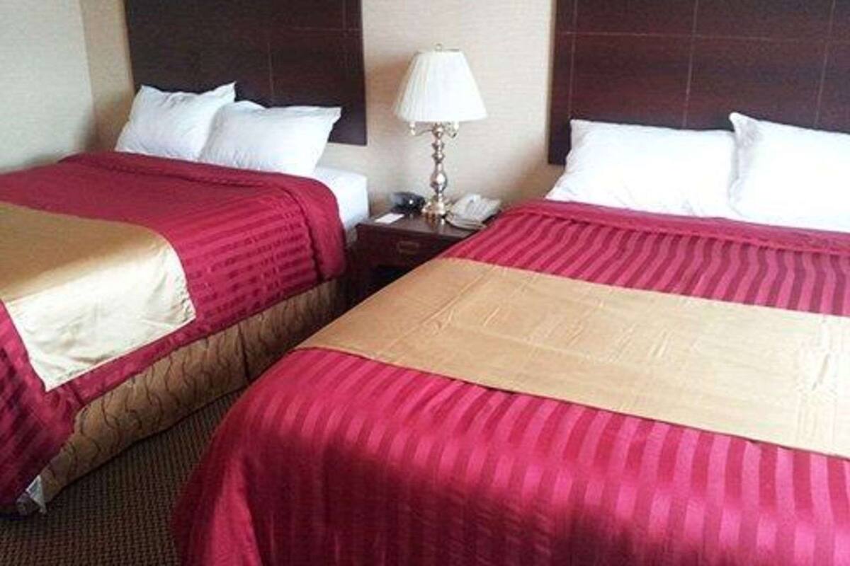 Habitación de hotel con dos camas, cada una con cubrecama rojo y beige, almohadas blancas y una mesita de noche con lámpara y teléfono.