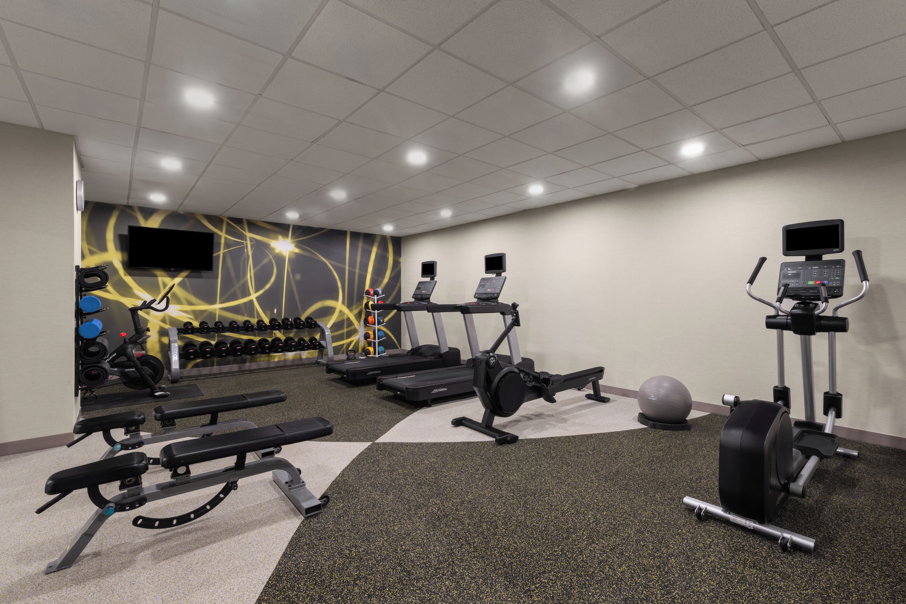A gym with treadmills, dumbbells, and exercise balls.