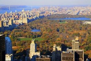 Un paysage urbain mêlant des immeubles de grande hauteur et un vaste espace vert comprenant des arbres et un lac.