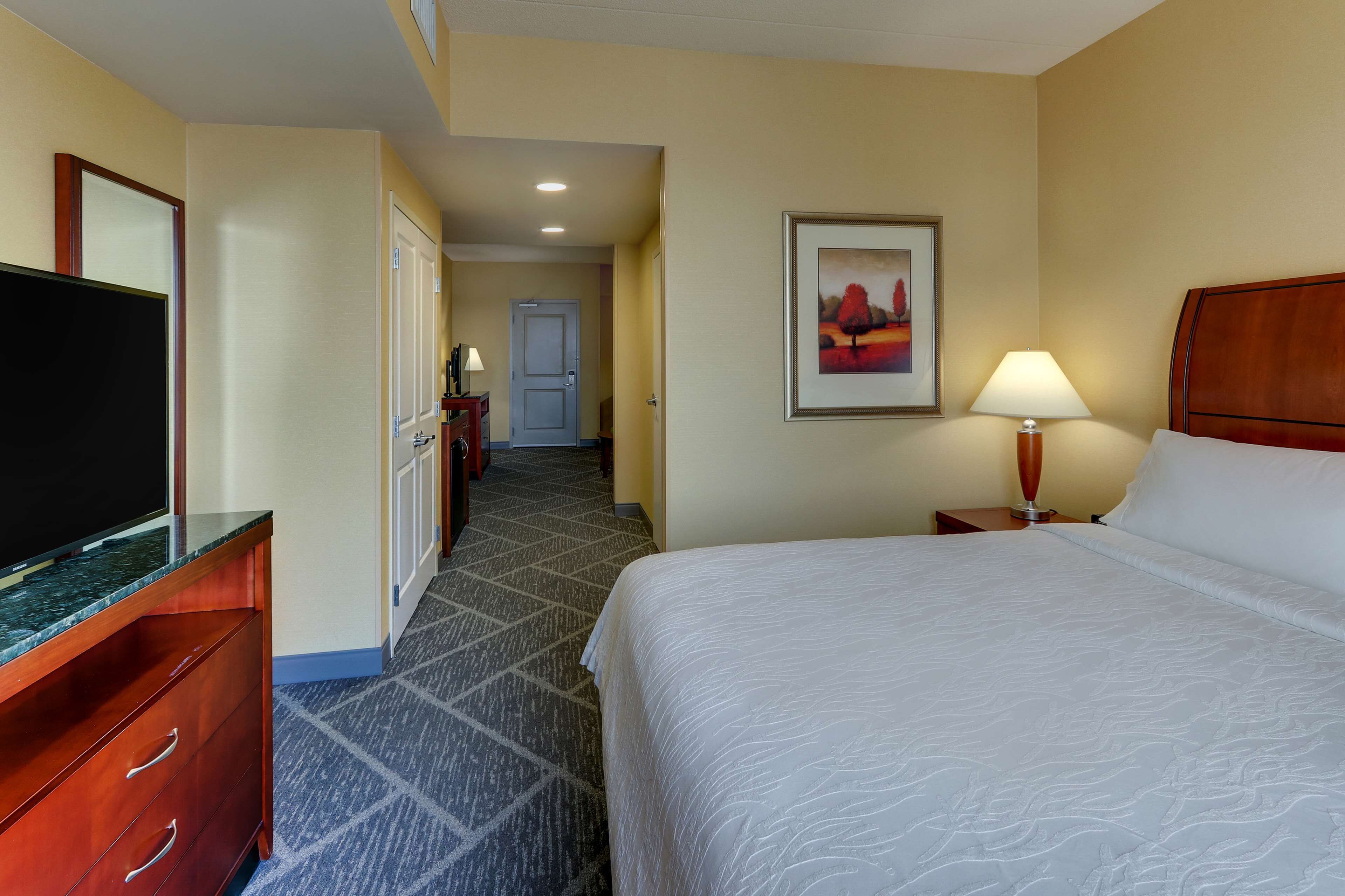 Photo - Hilton Garden Inn Indianapolis Airport