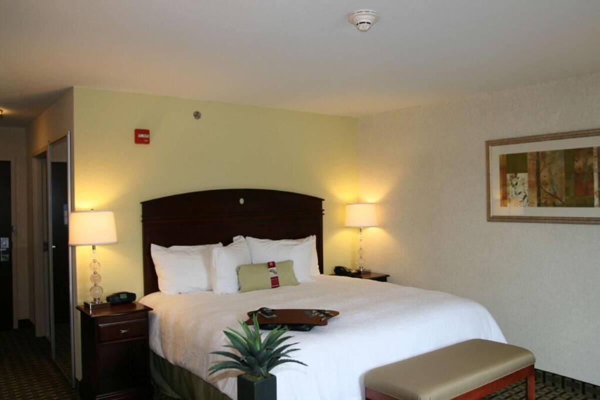A hotel room with a large bed, two bedside lamps, a bedside table with a phone, a small potted plant, and a framed picture on the wall.