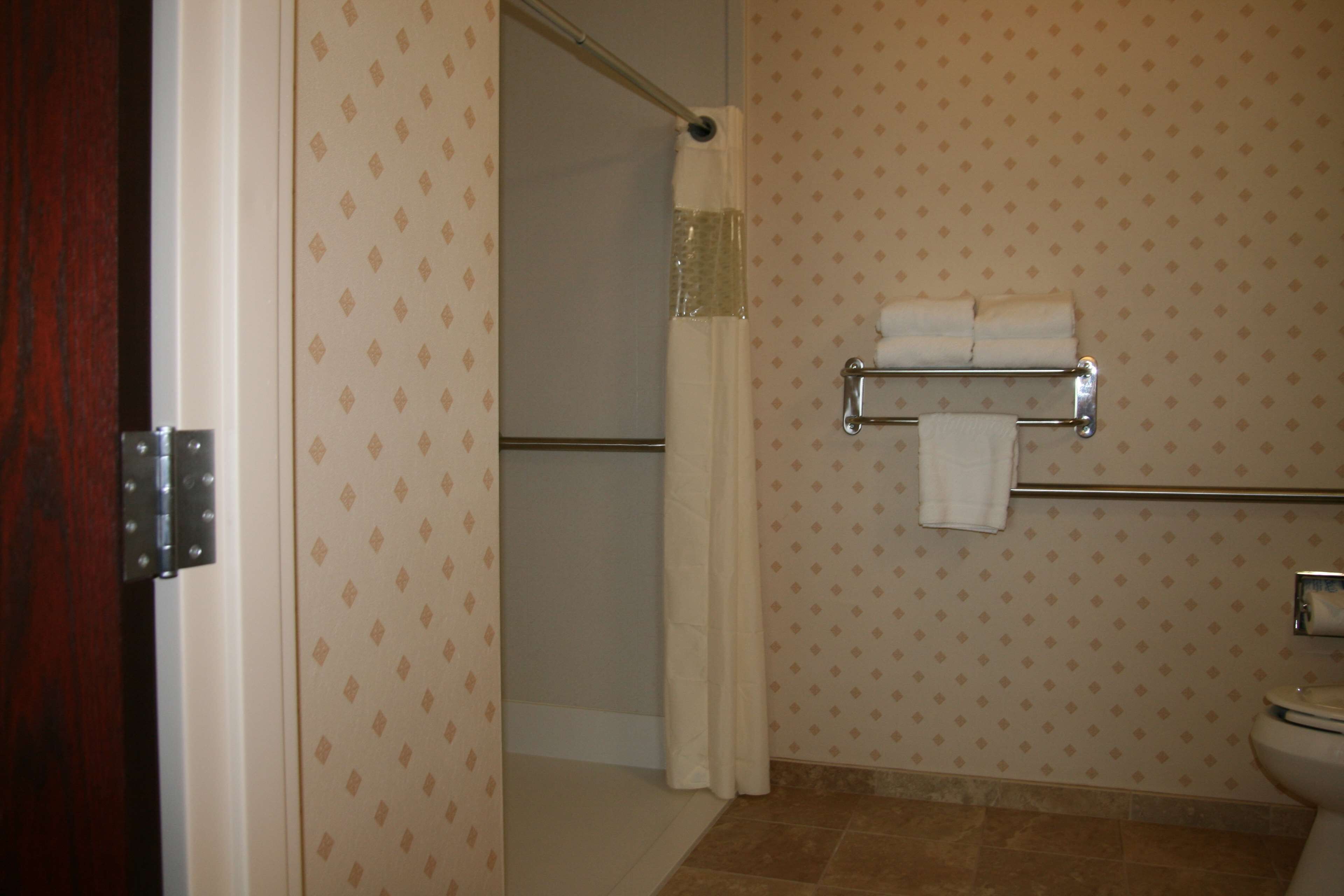 combined shower/bathtub, free toiletries, hair dryer, towels