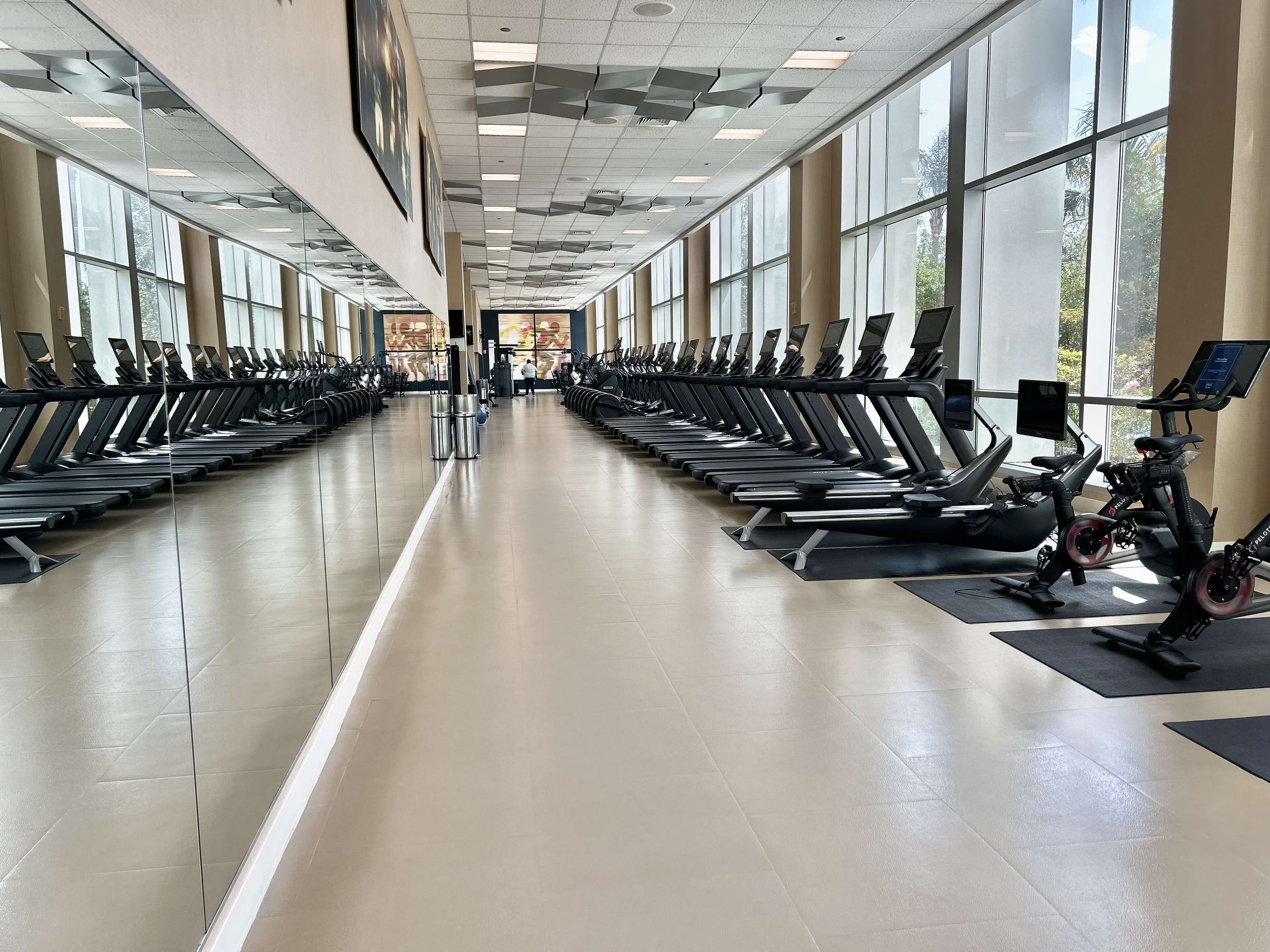 Photo - Hilton Orlando