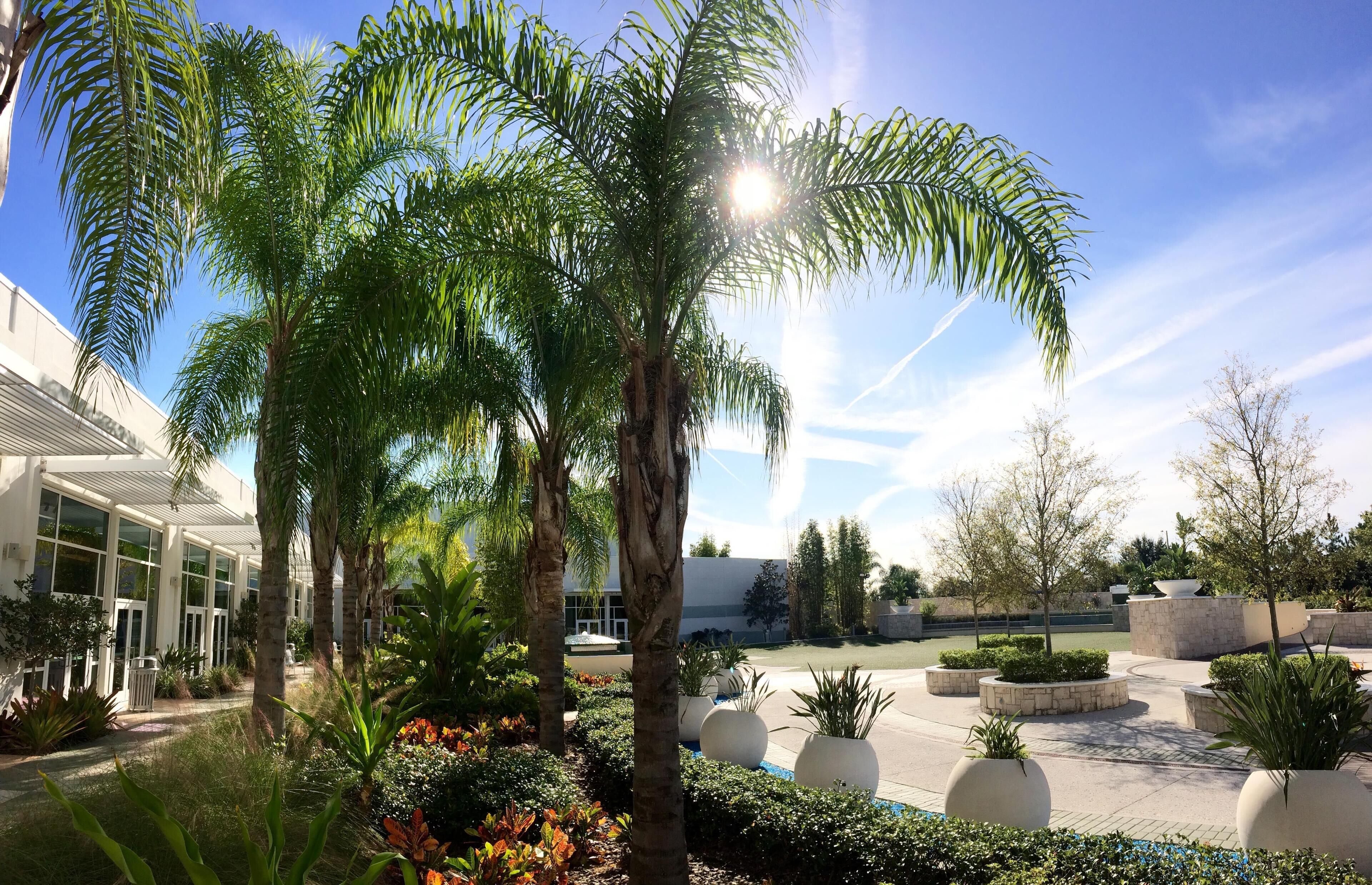 Photo - Hilton Orlando