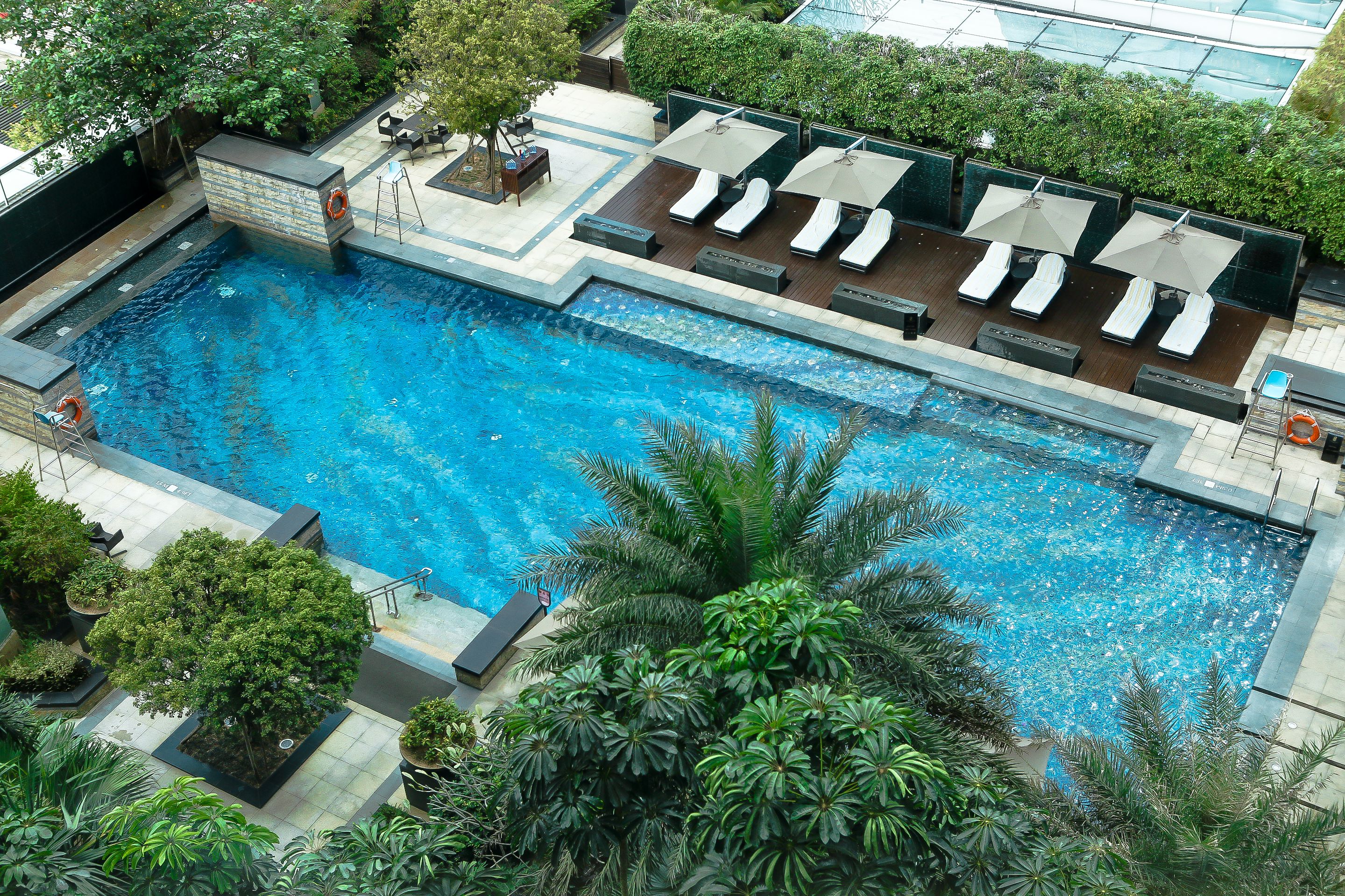 A rooftop swimming pool with lounge chairs and umbrellas, surrounded by greenery and modern architecture.