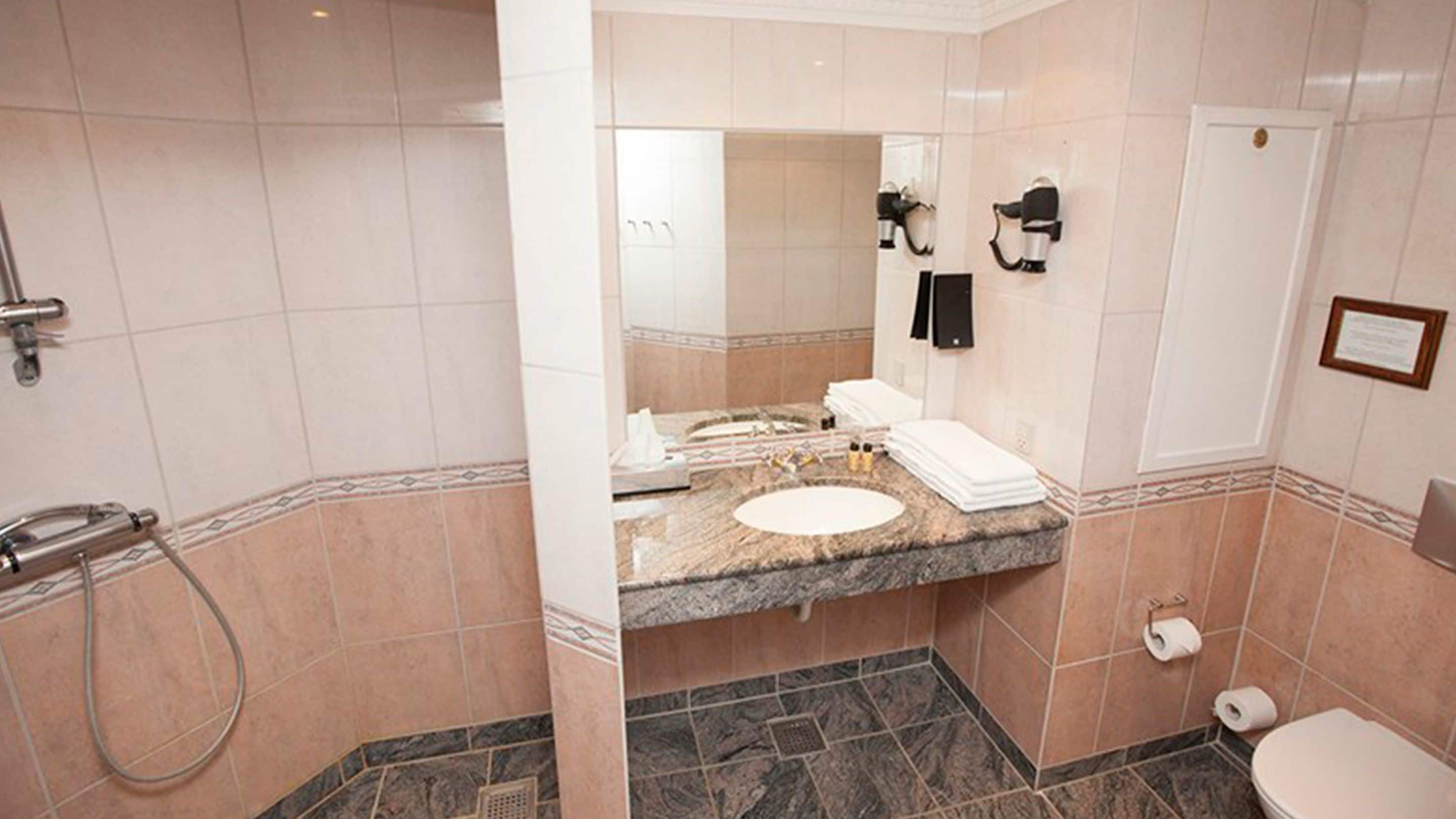 standard double room, terrace | bathroom amenities | shower, hair dryer, towels