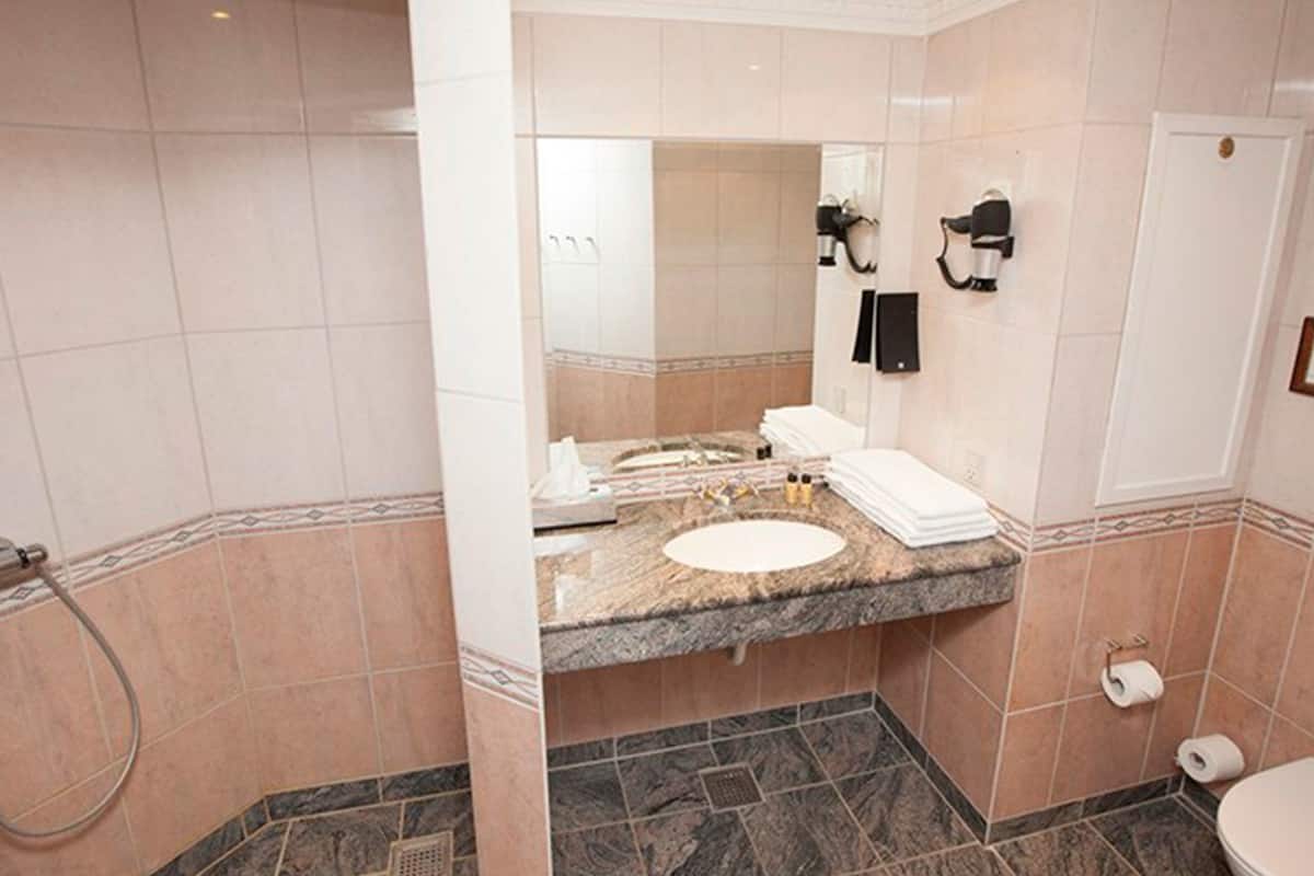 standard double room, terrace | bathroom amenities | shower, hair dryer, towels