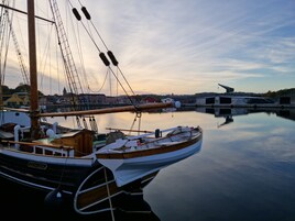 Paseos en barco