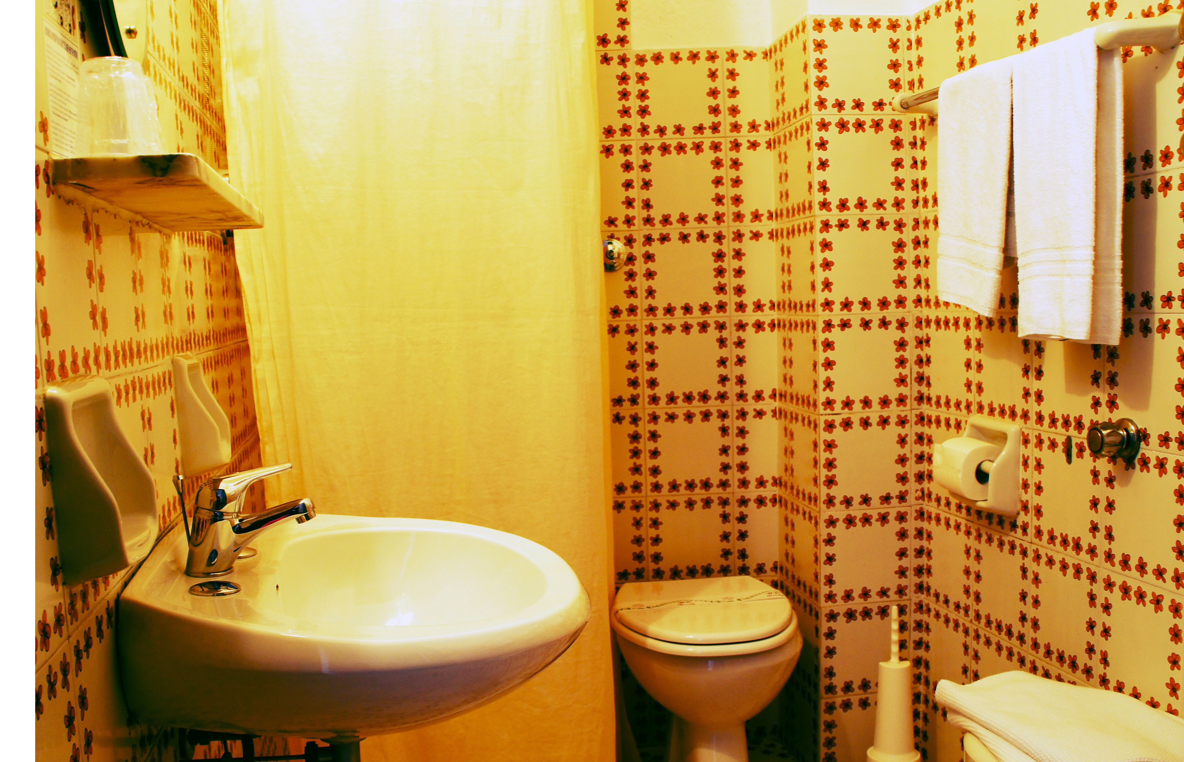 shower, free toiletries, hair dryer, bidet