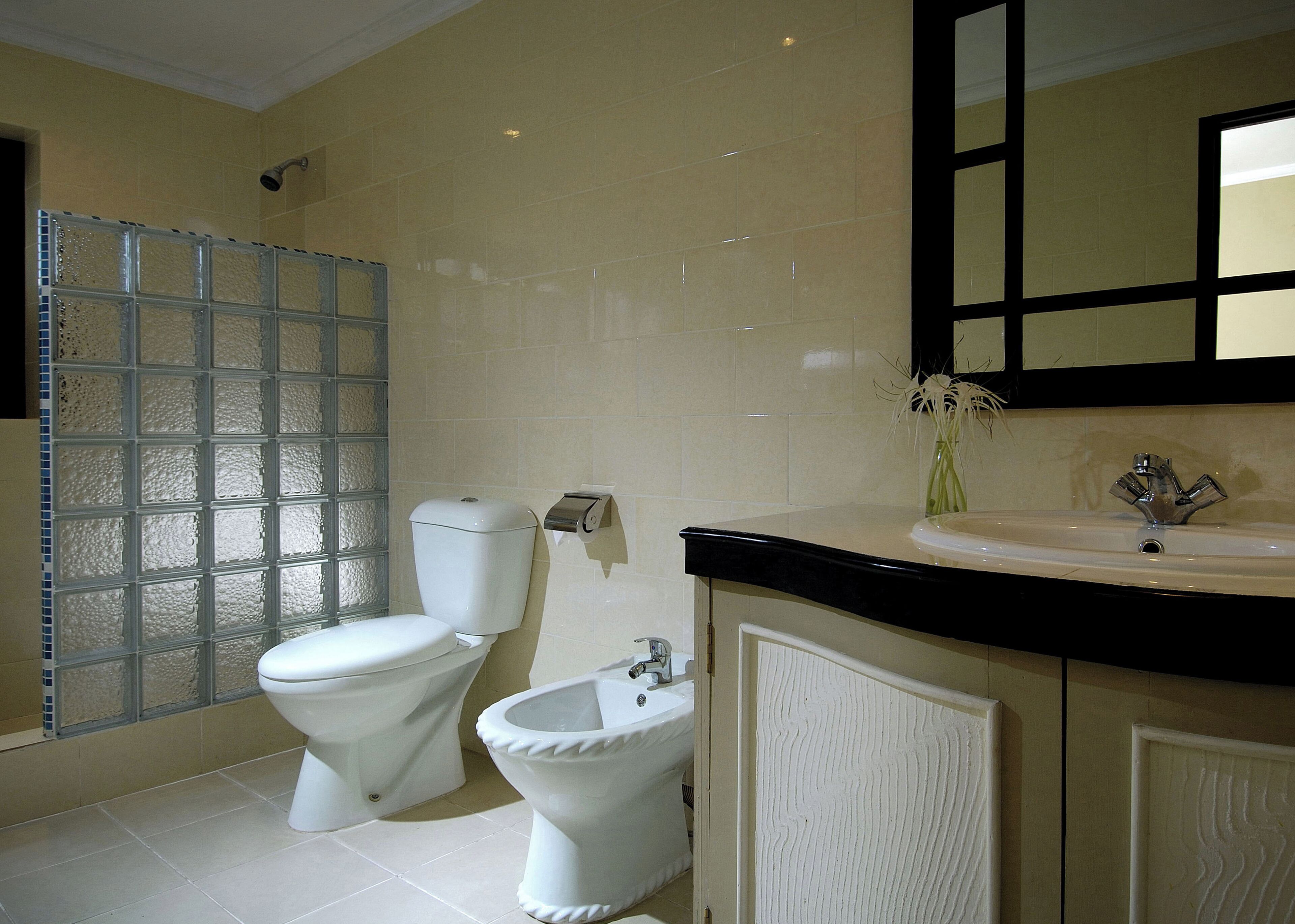 Un baño con inodoro, bidé y lavabo con espejo superior.