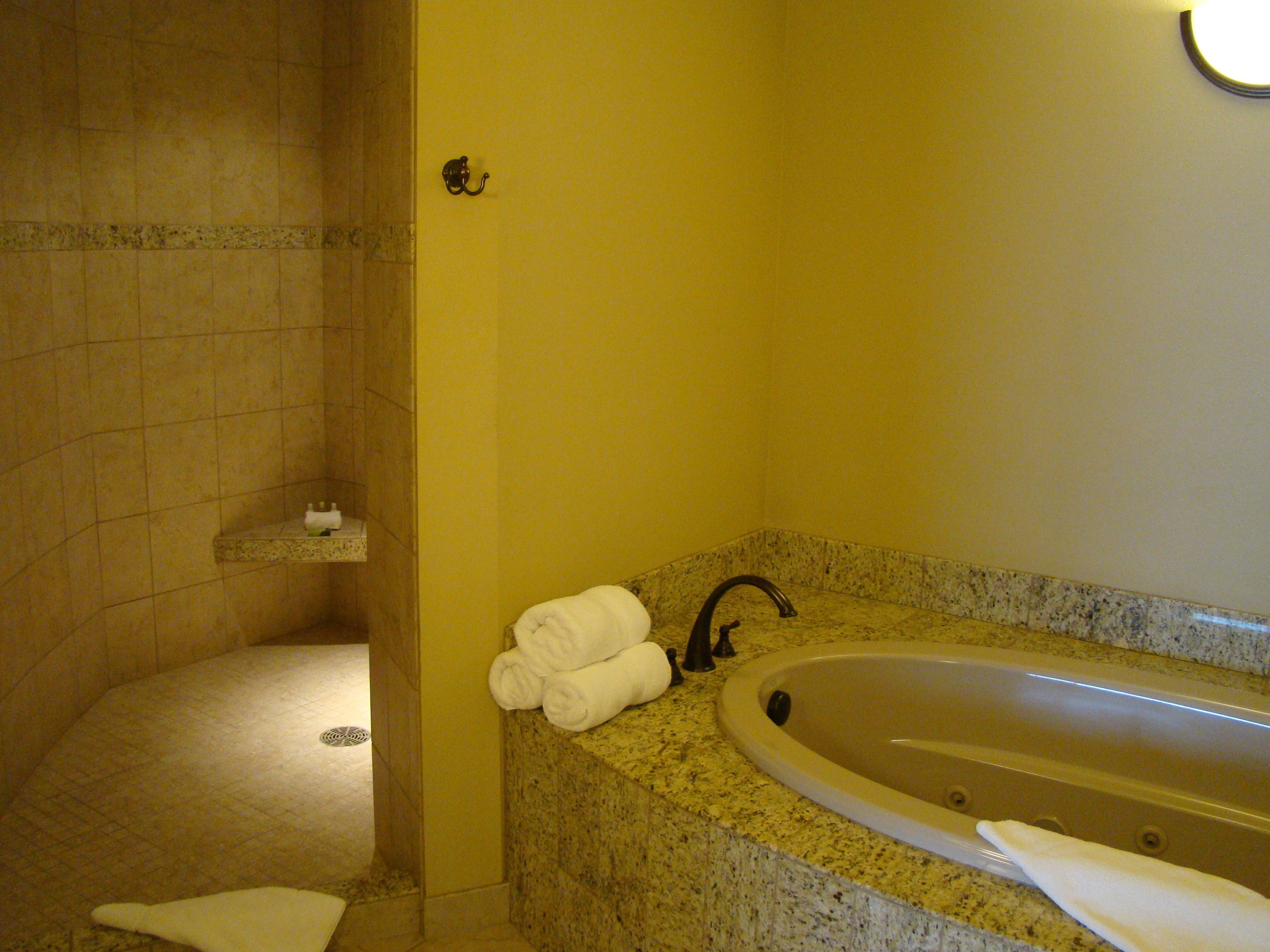 combined shower/bathtub, free toiletries, hair dryer, towels