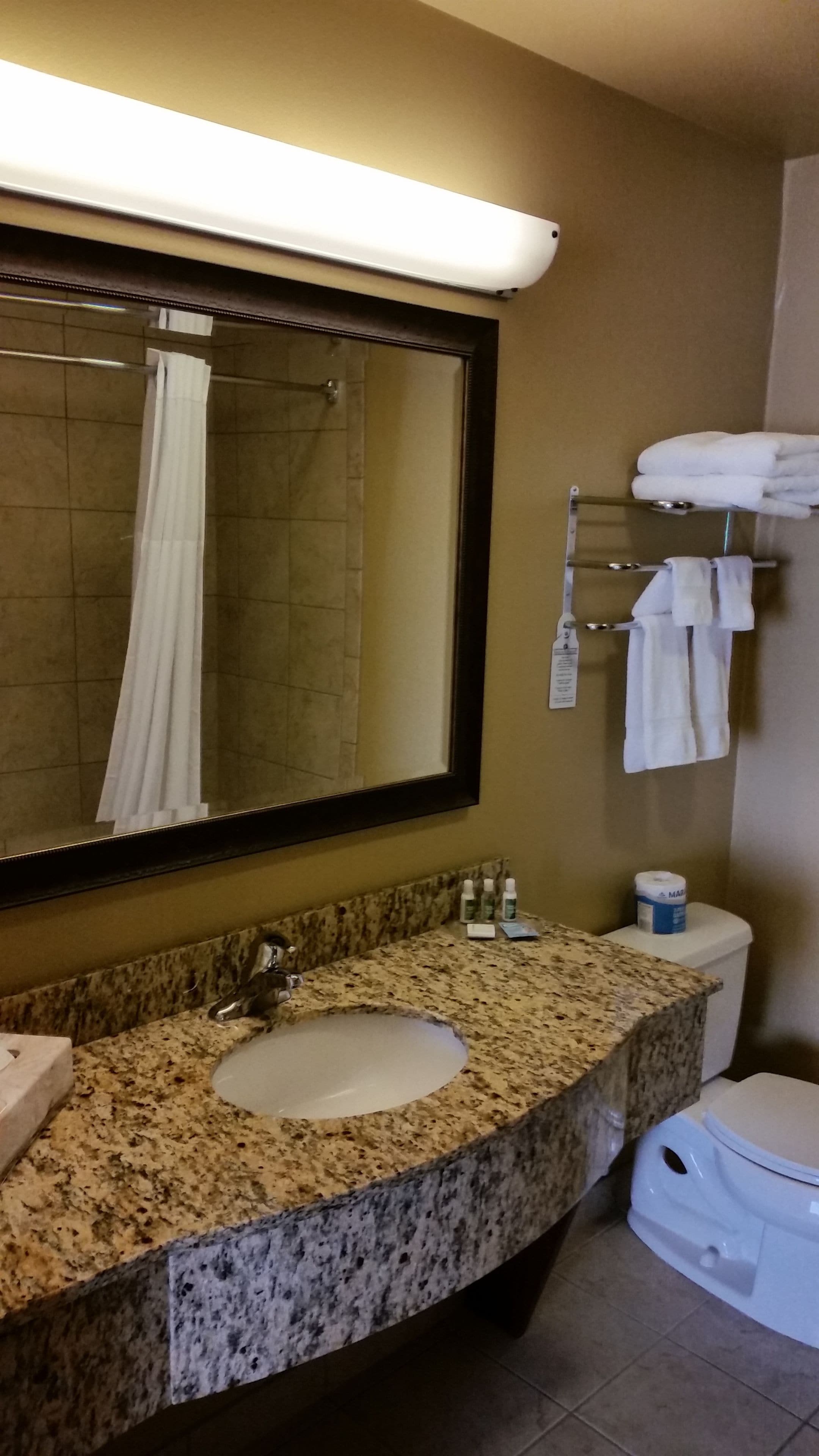 combined shower/bathtub, free toiletries, hair dryer, towels