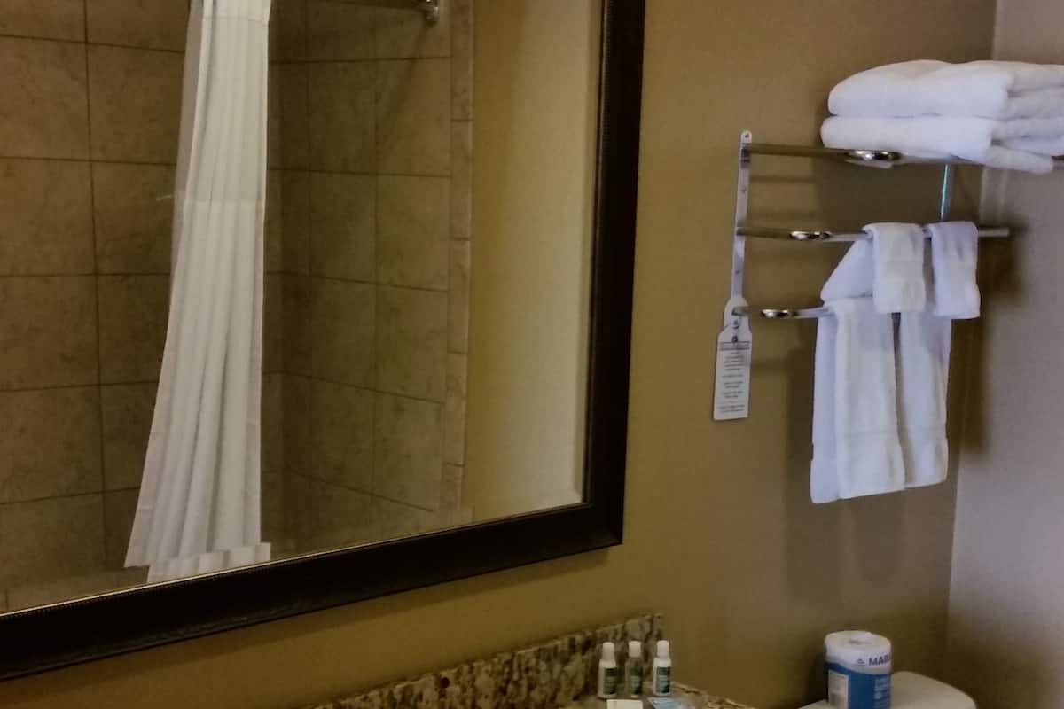 combined shower/bathtub, free toiletries, hair dryer, towels