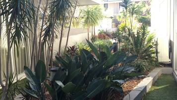 A landscaped garden with various tropical plants and a small lawn area.
