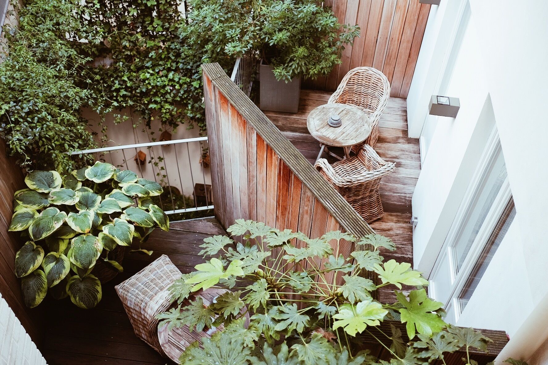 Una terraza de madera con una silla de mimbre y una planta en maceta.