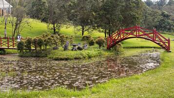 Un puente rojo sobre un estanque cubierto de lirios, rodeado de follaje y árboles.