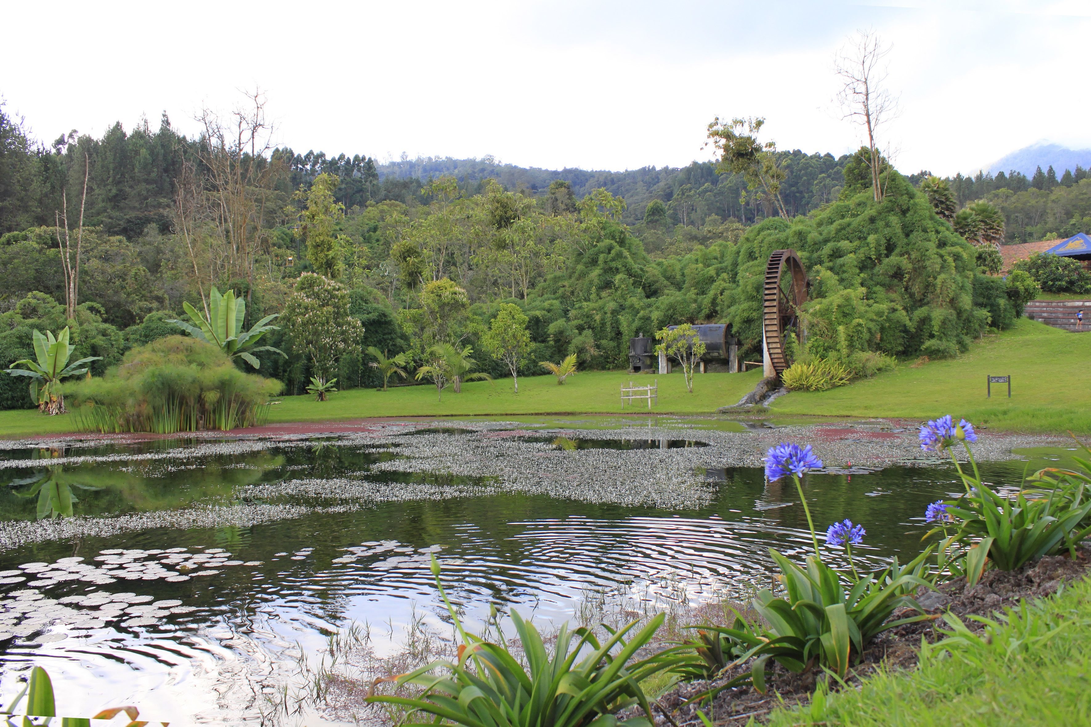 Photo - Estelar Recinto Del Pensamiento Hotel Y Centro De Convenciones